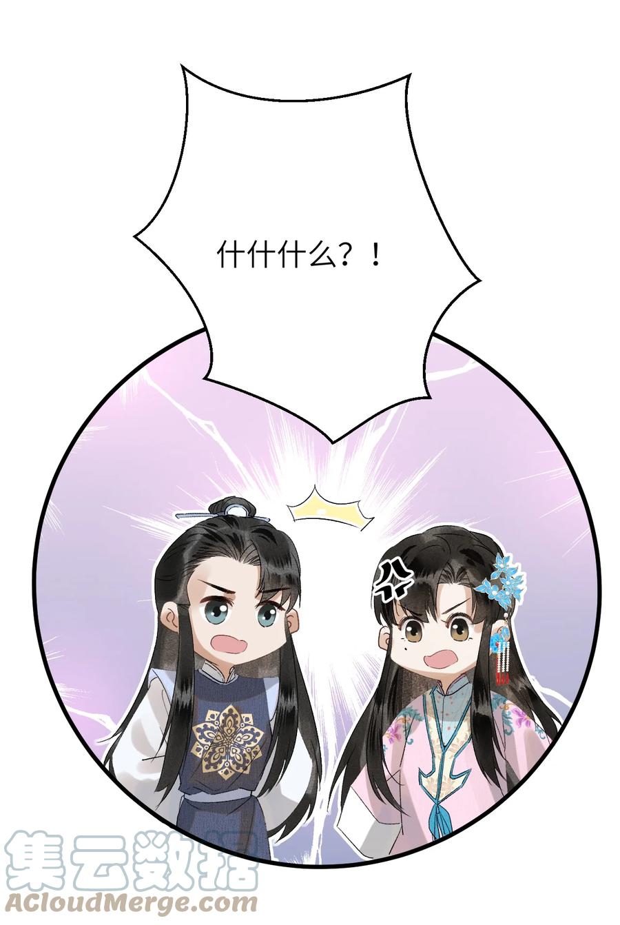 《这个王妃性别男》027 我有一个大胆的想法 第15页