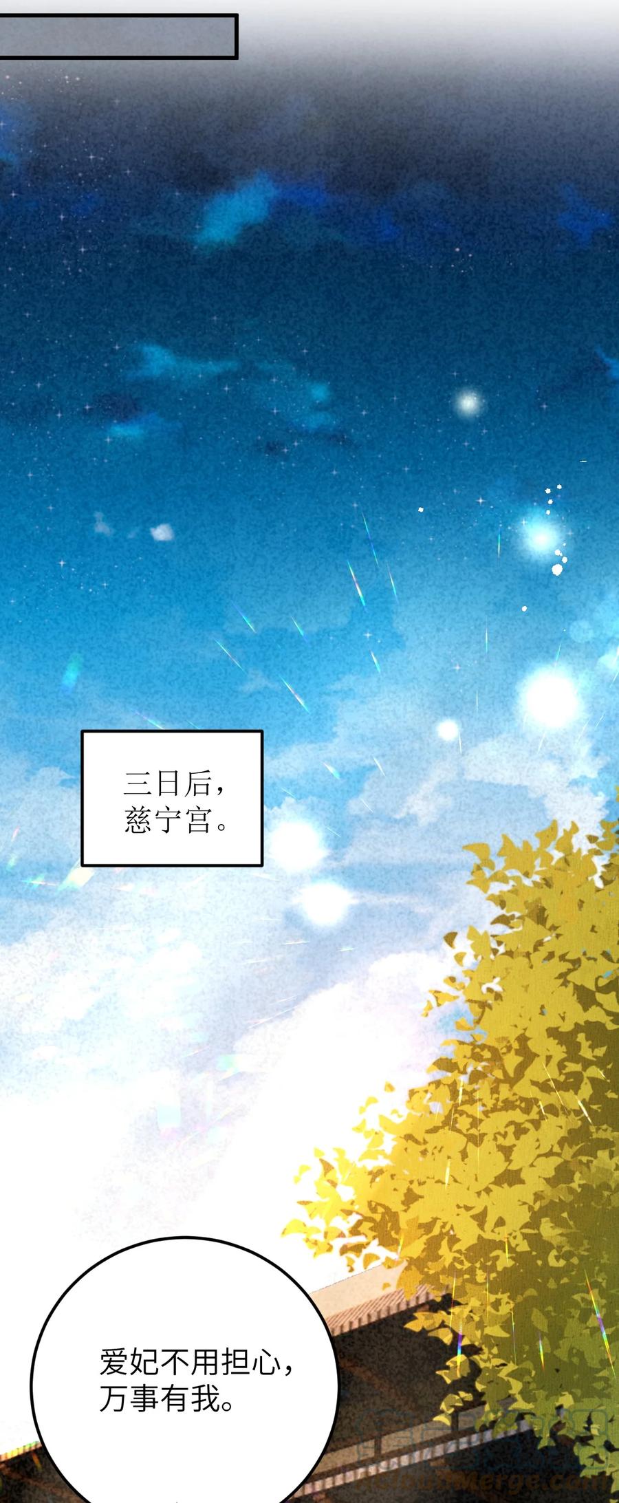 《这个王妃性别男》028 爱上晏王的理由 第35页