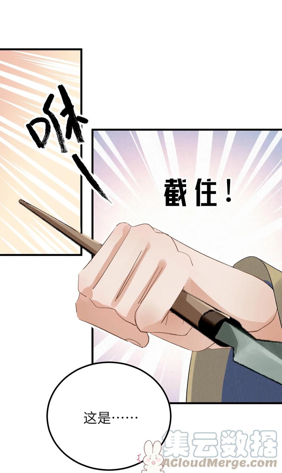 《这个王妃性别男》031 王妃是个高危职业 第5页