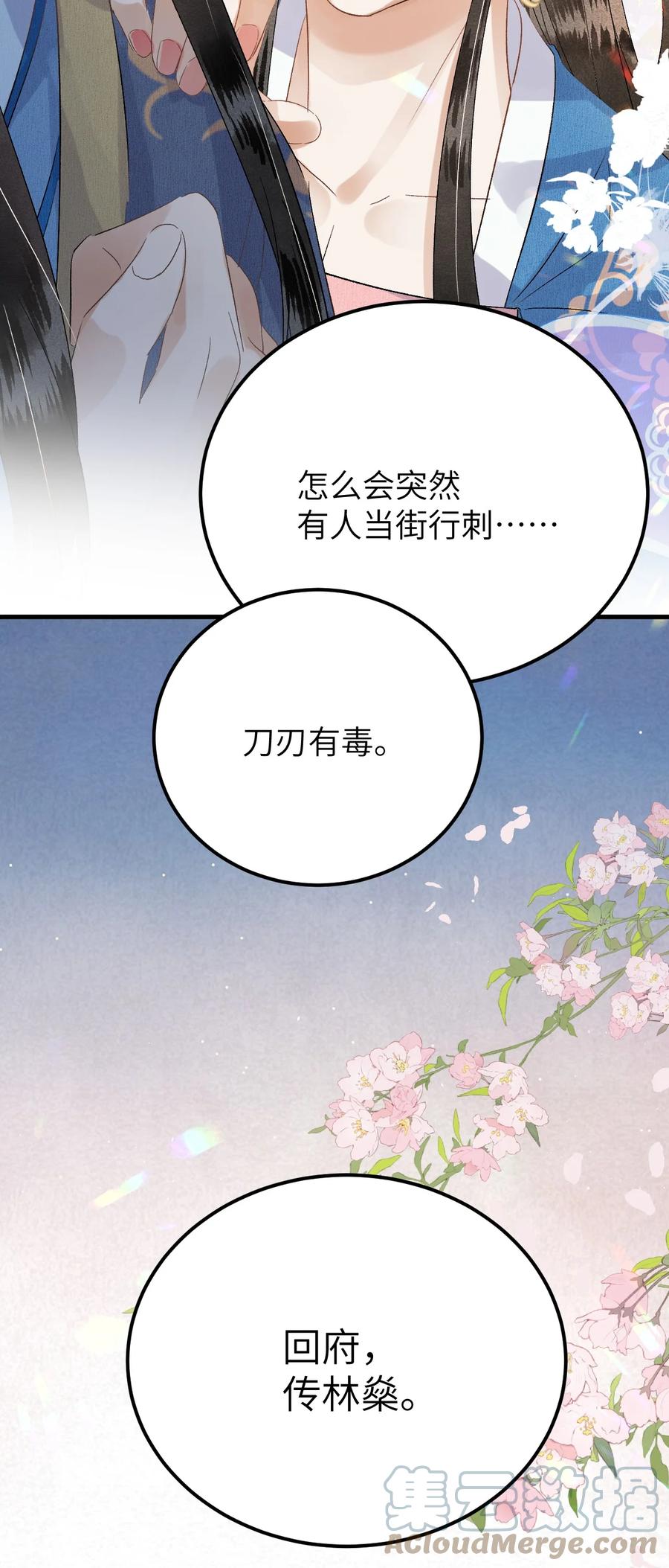 《这个王妃性别男》031 王妃是个高危职业 第29页