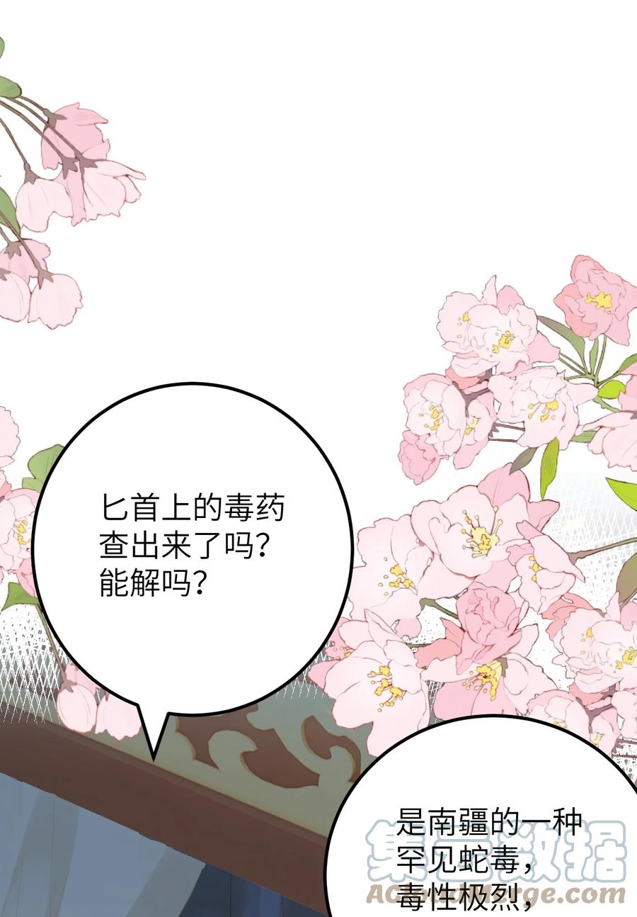 《这个王妃性别男》032 你究竟有几个好师弟？ 第3页