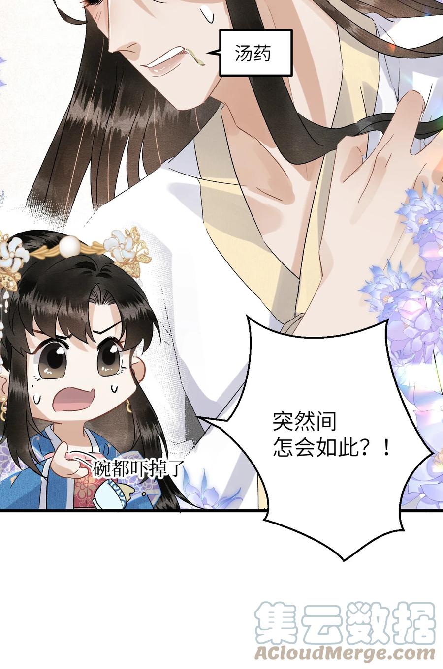 《这个王妃性别男》034 恃伤行凶的付成弘 第13页