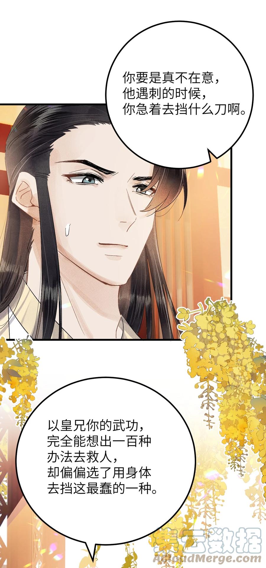 《这个王妃性别男》035 本王从不在意 第25页