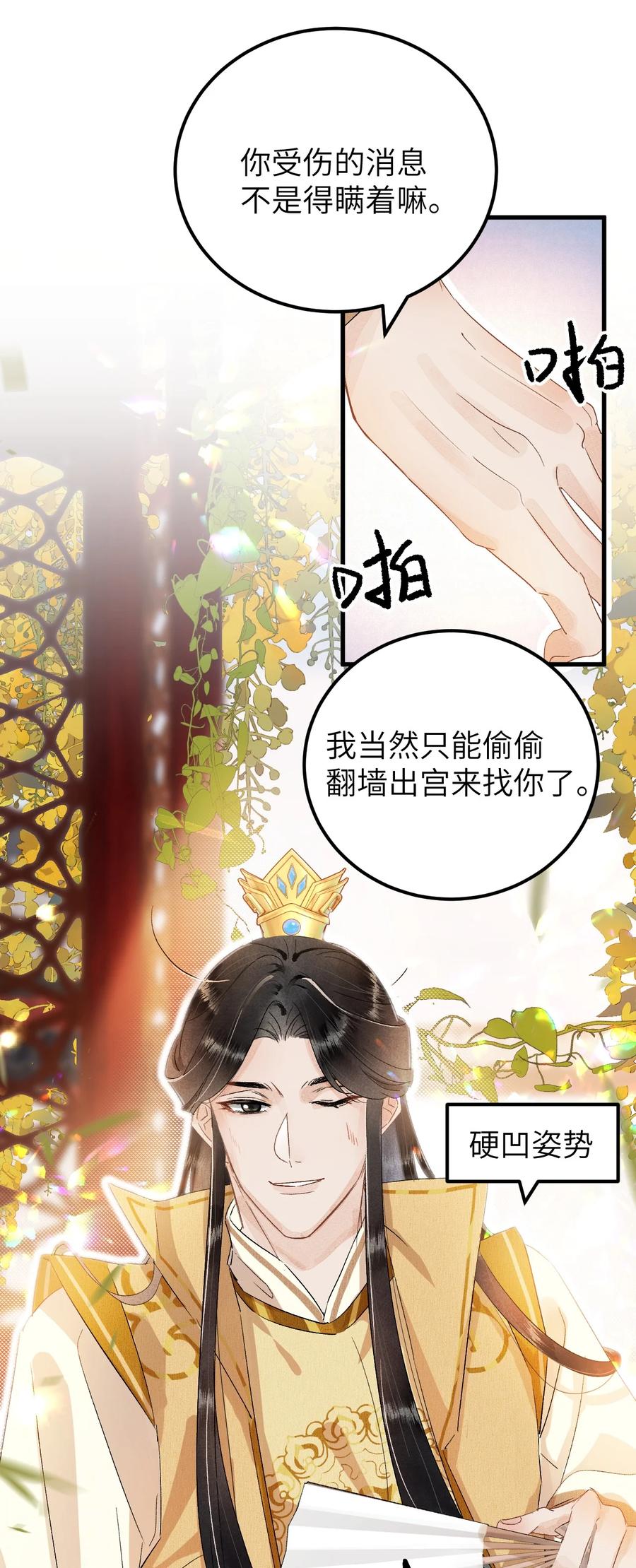 《这个王妃性别男》035 本王从不在意 第6页