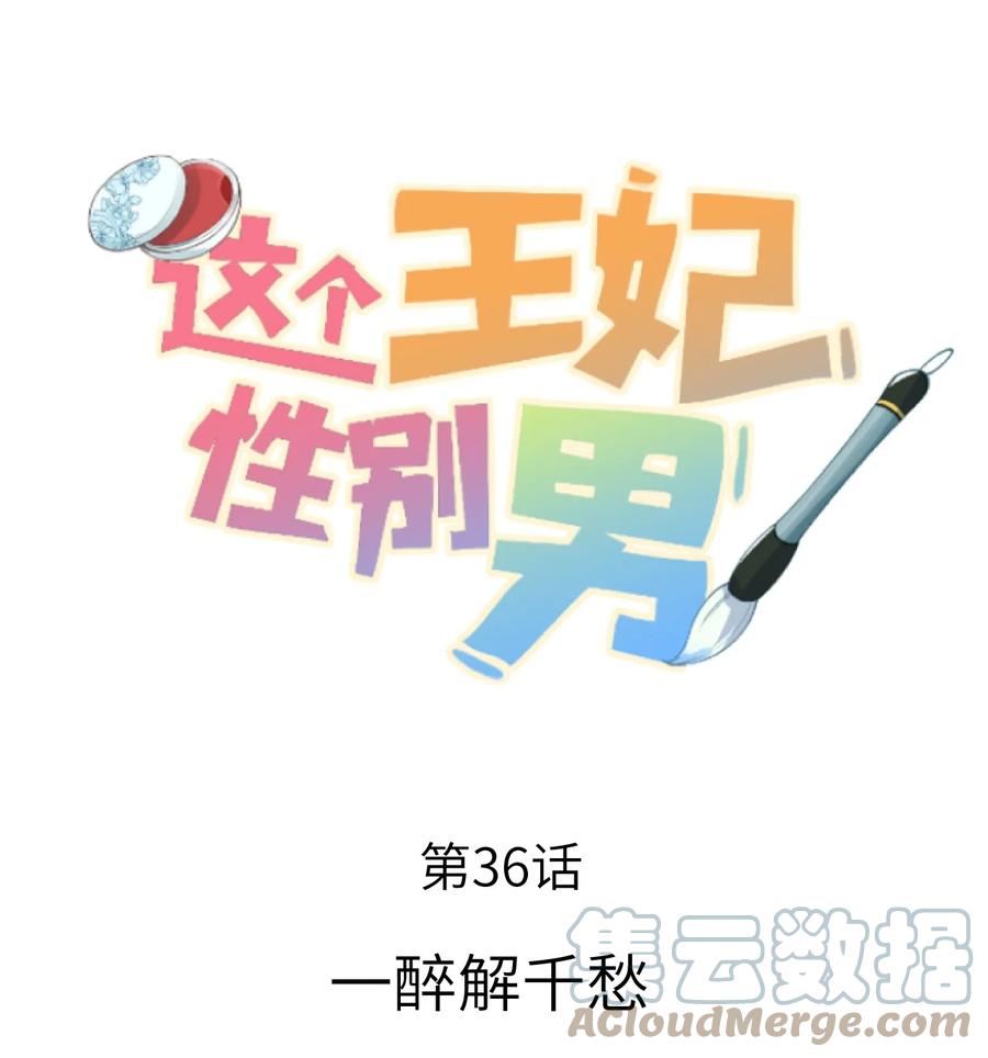 《这个王妃性别男》036 一醉解千愁 第1页