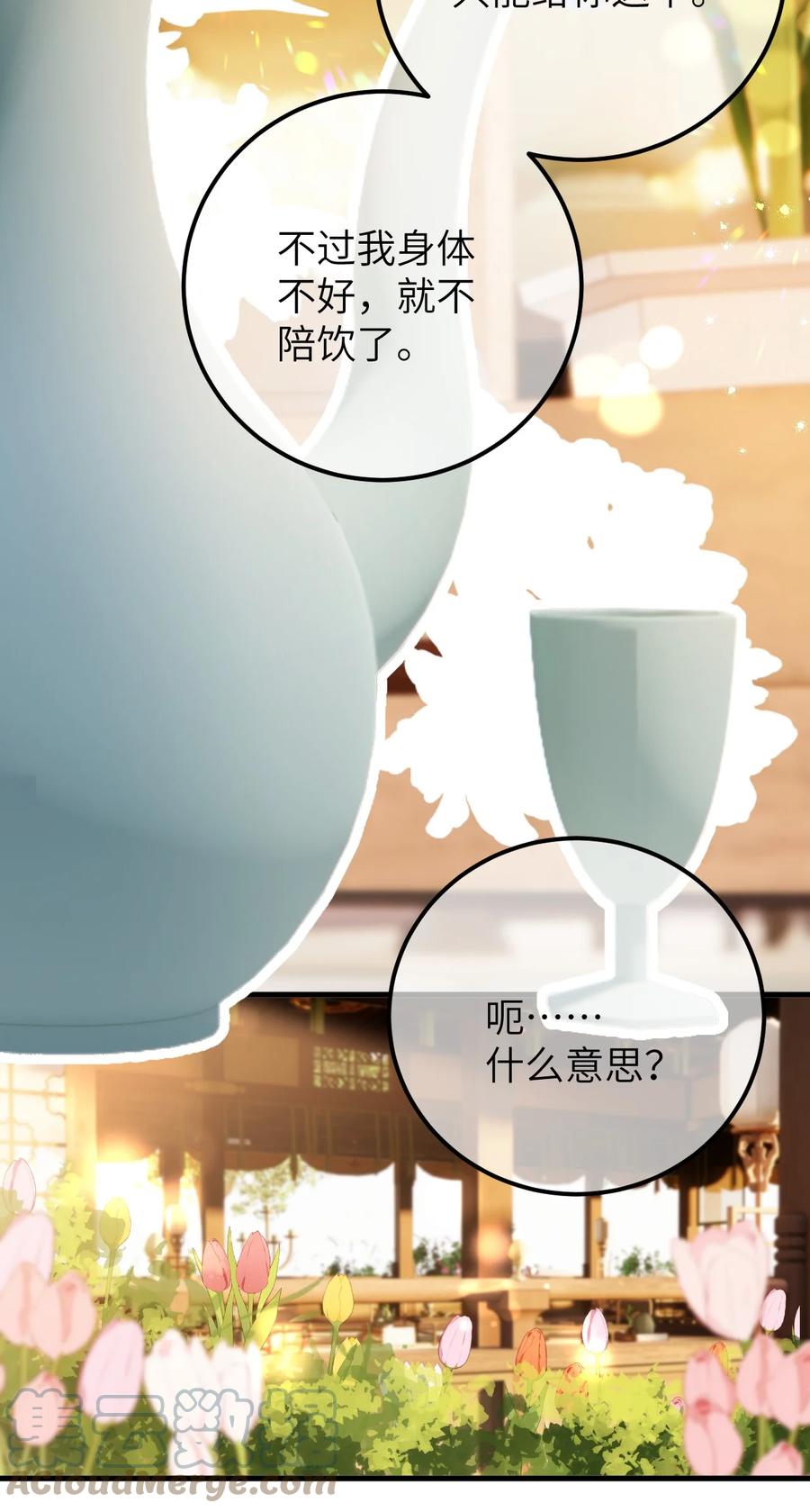 《这个王妃性别男》036 一醉解千愁 第19页