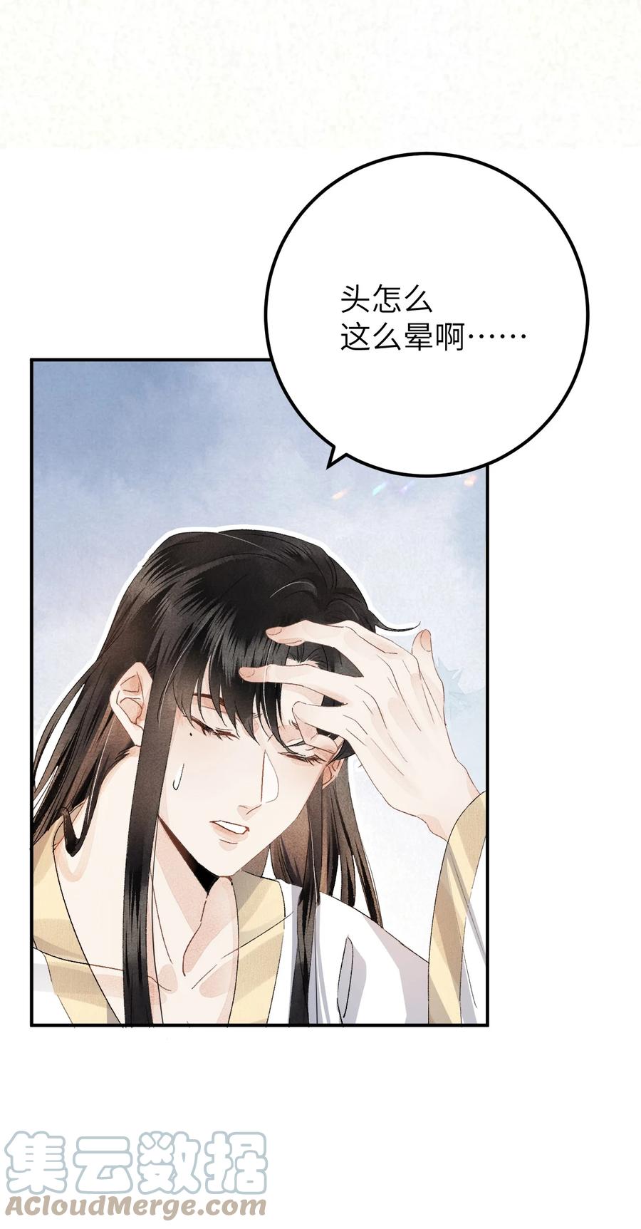 《这个王妃性别男》037 酒后吐真言 第15页
