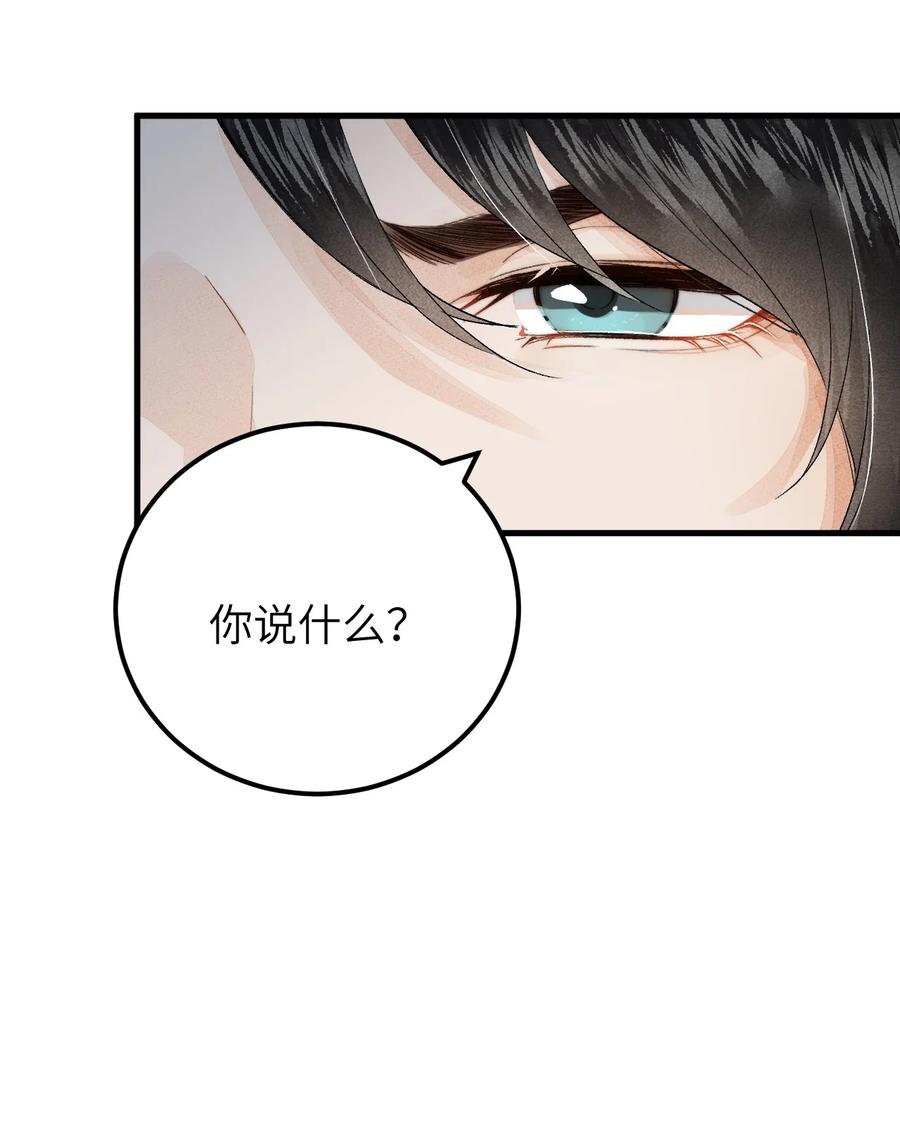 《这个王妃性别男》037 酒后吐真言 第29页