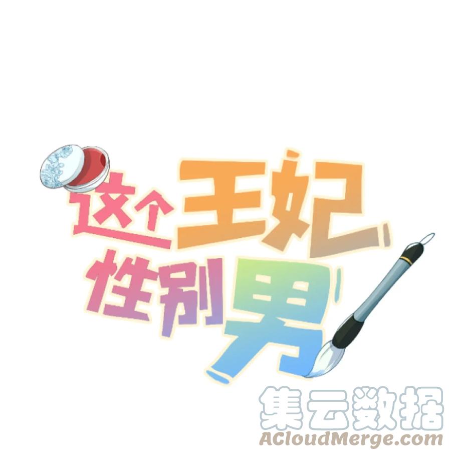 《这个王妃性别男》039 迷弟琼疏笙 第1页