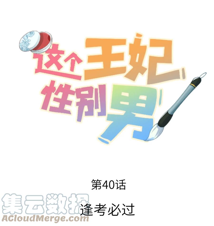 《这个王妃性别男》040 逢考必过 第1页