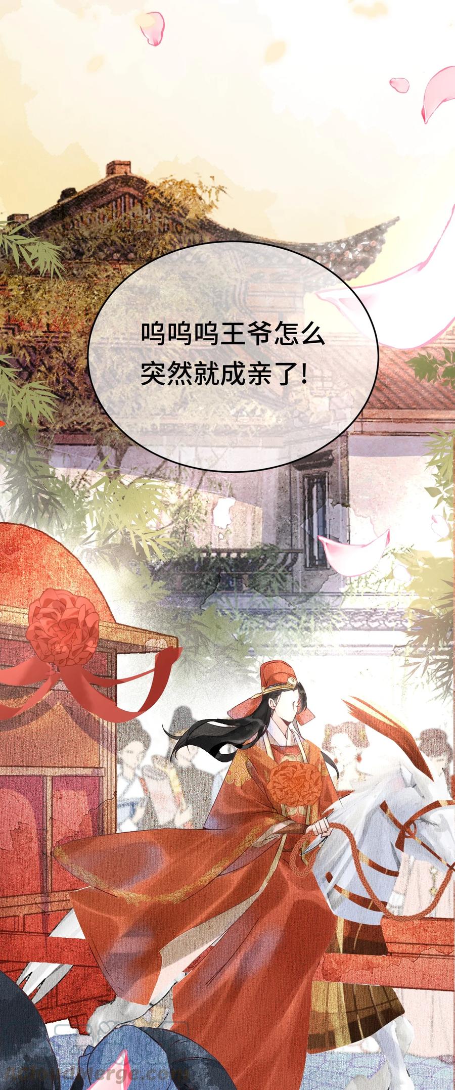 《这个王妃性别男》004 新婚之夜 第7页