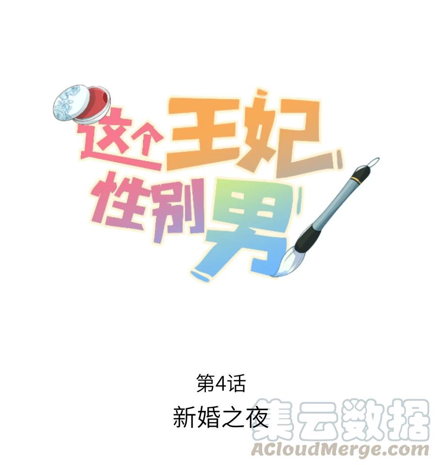 《这个王妃性别男》004 新婚之夜 第1页