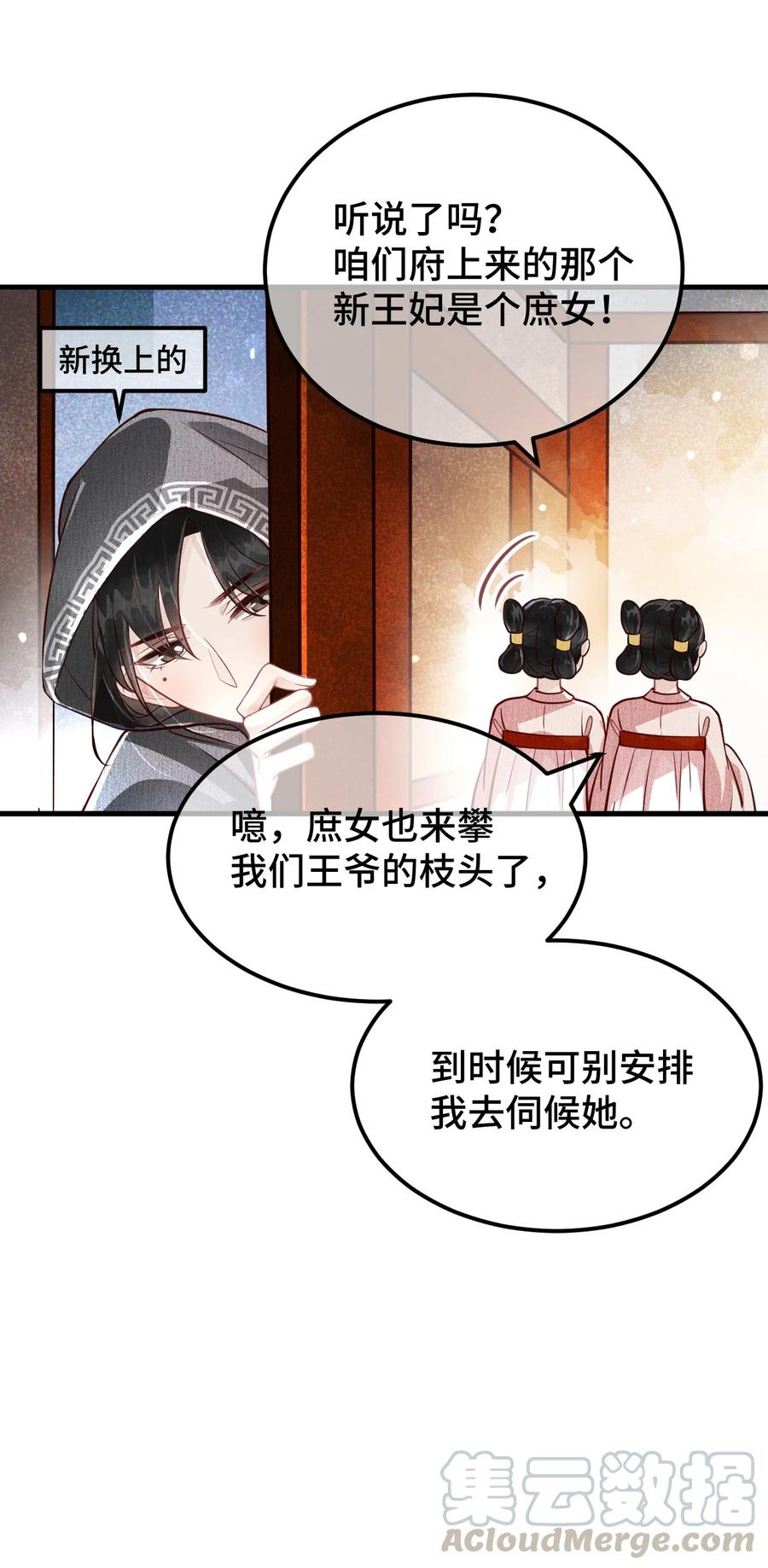 《这个王妃性别男》004 新婚之夜 第46页