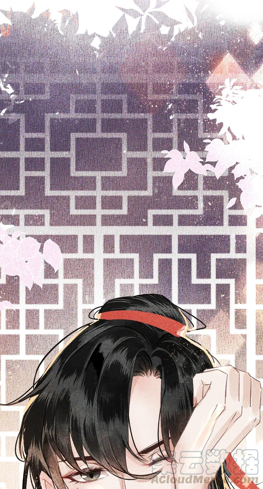 《这个王妃性别男》004 新婚之夜 第43页