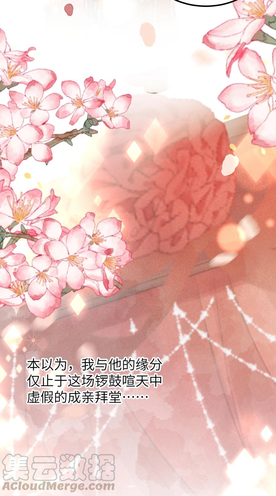 《这个王妃性别男》004 新婚之夜 第31页
