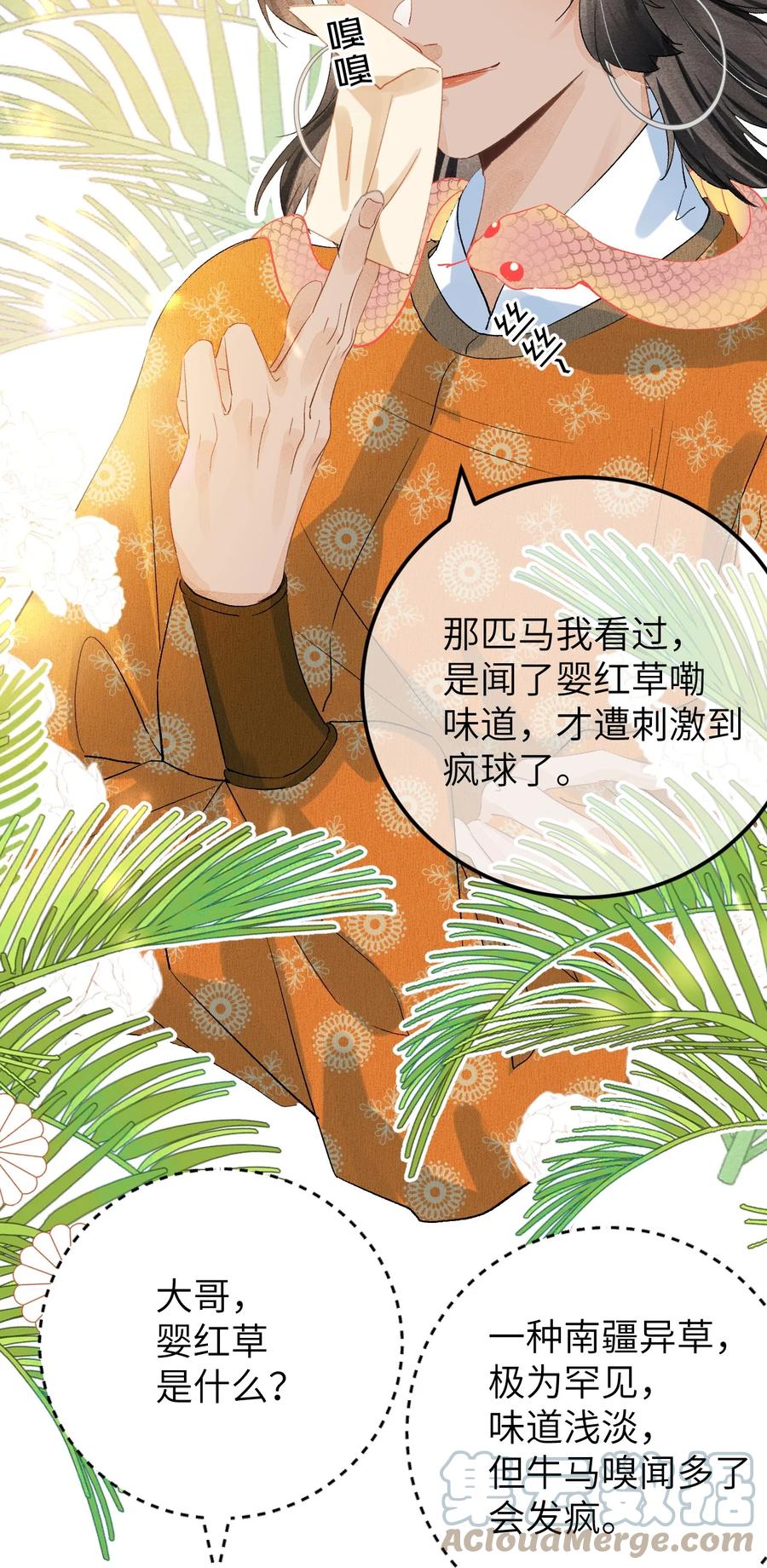 《这个王妃性别男》042 清白连夜离家出走 第13页