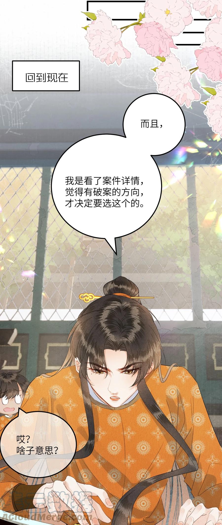 《这个王妃性别男》043 你不是南宫雨燕 第11页