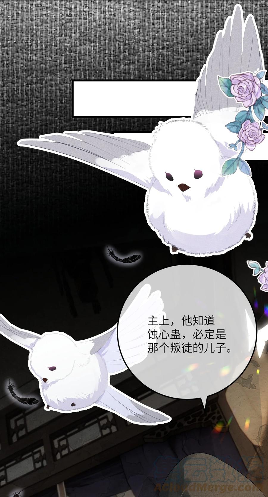 《这个王妃性别男》043 你不是南宫雨燕 第31页