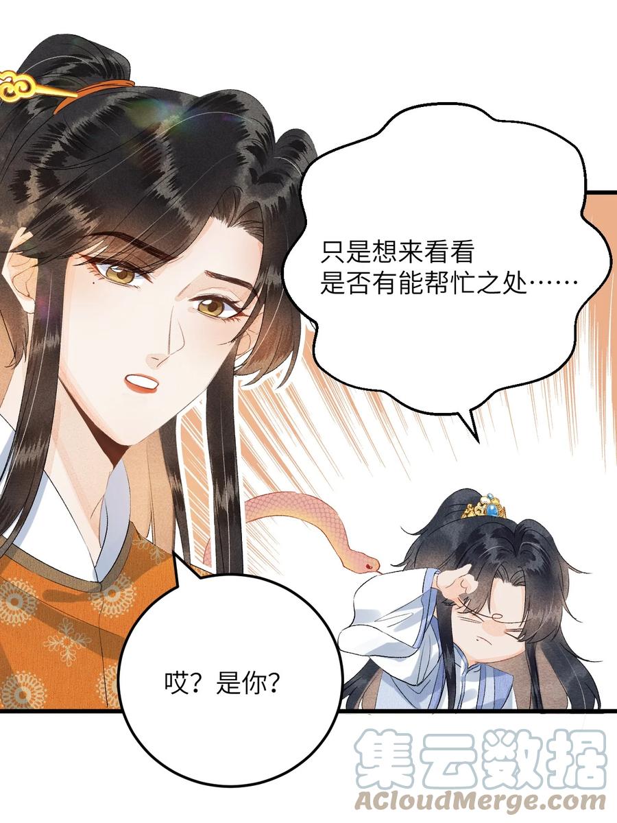 《这个王妃性别男》043 你不是南宫雨燕 第21页