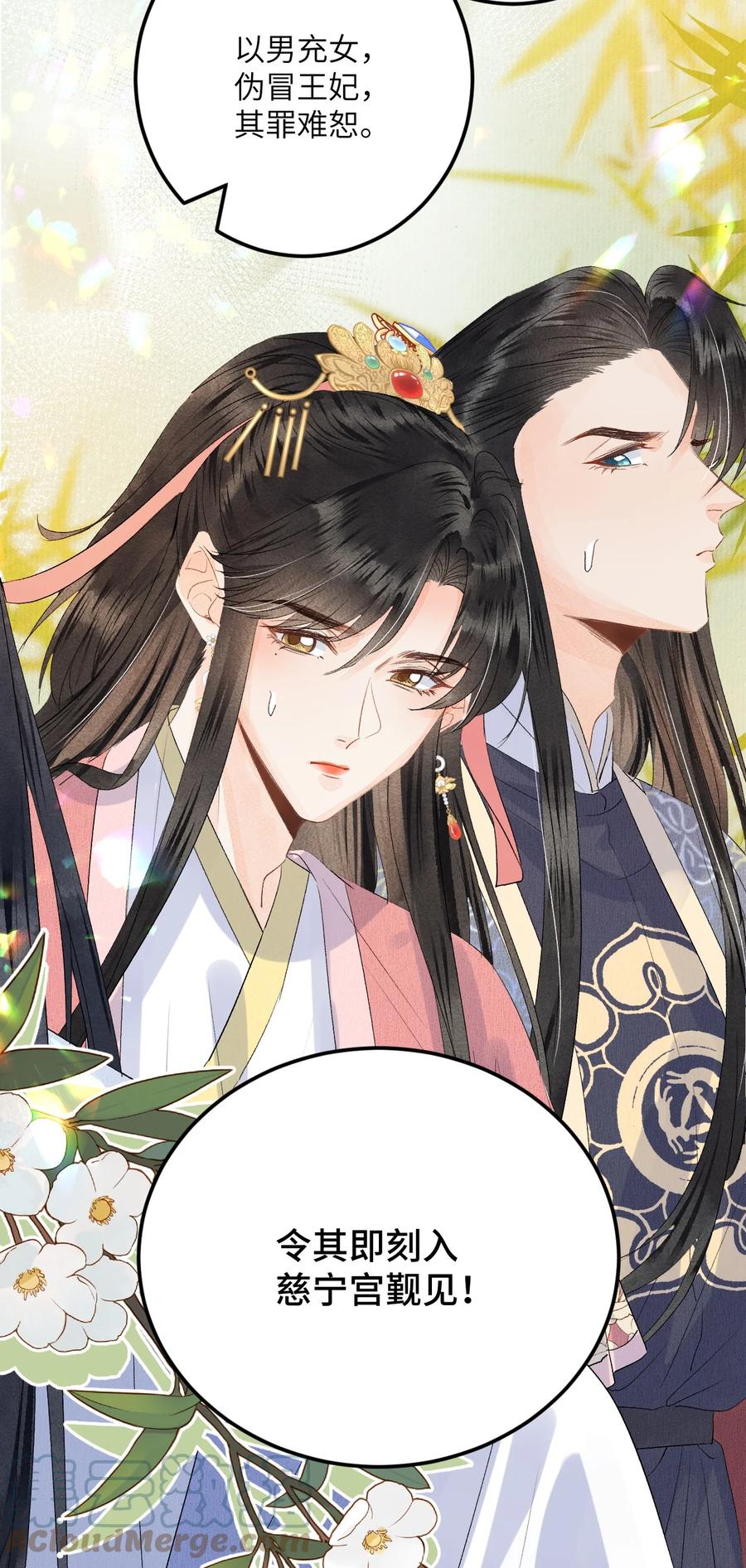 《这个王妃性别男》045 谁说他不是本王的王妃 第35页