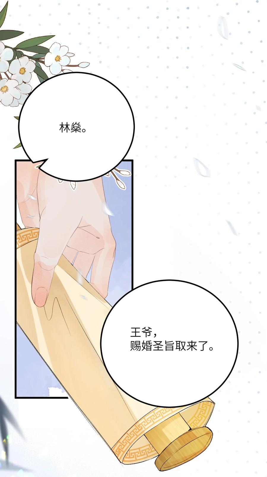 《这个王妃性别男》045 谁说他不是本王的王妃 第28页
