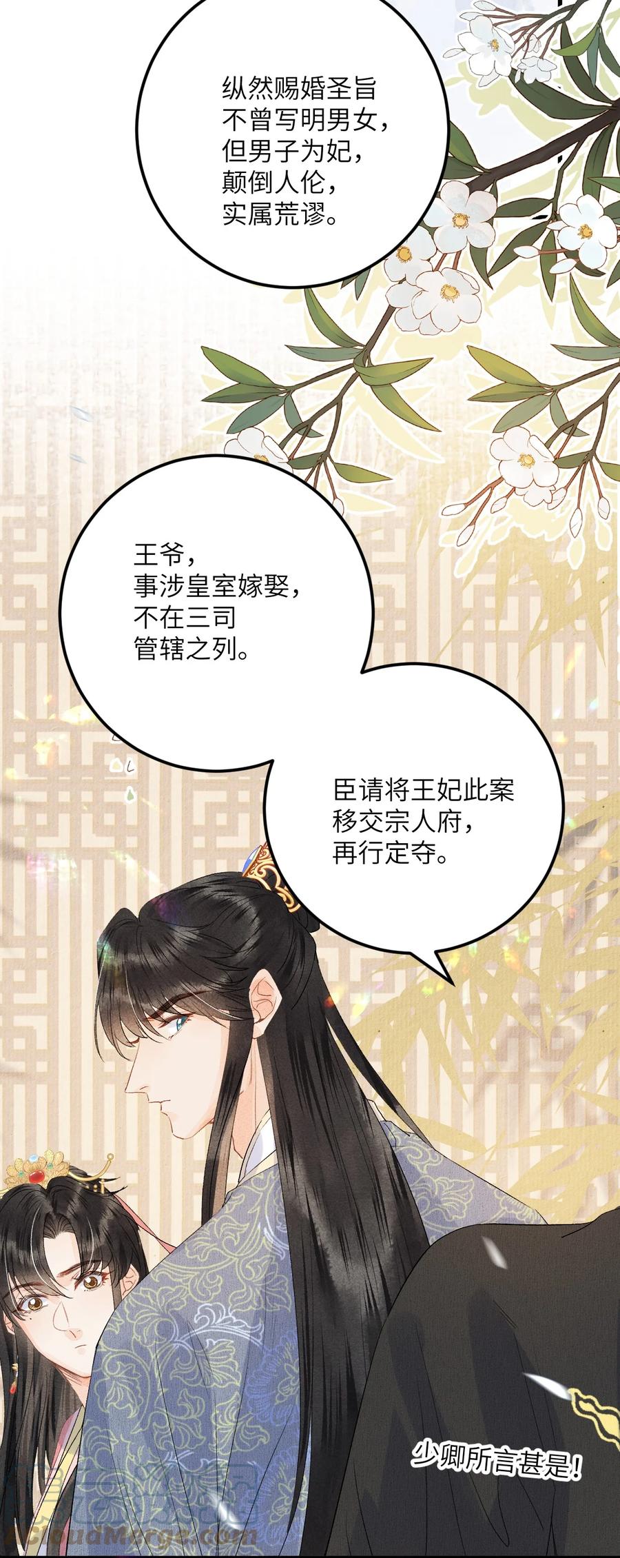 《这个王妃性别男》045 谁说他不是本王的王妃 第33页