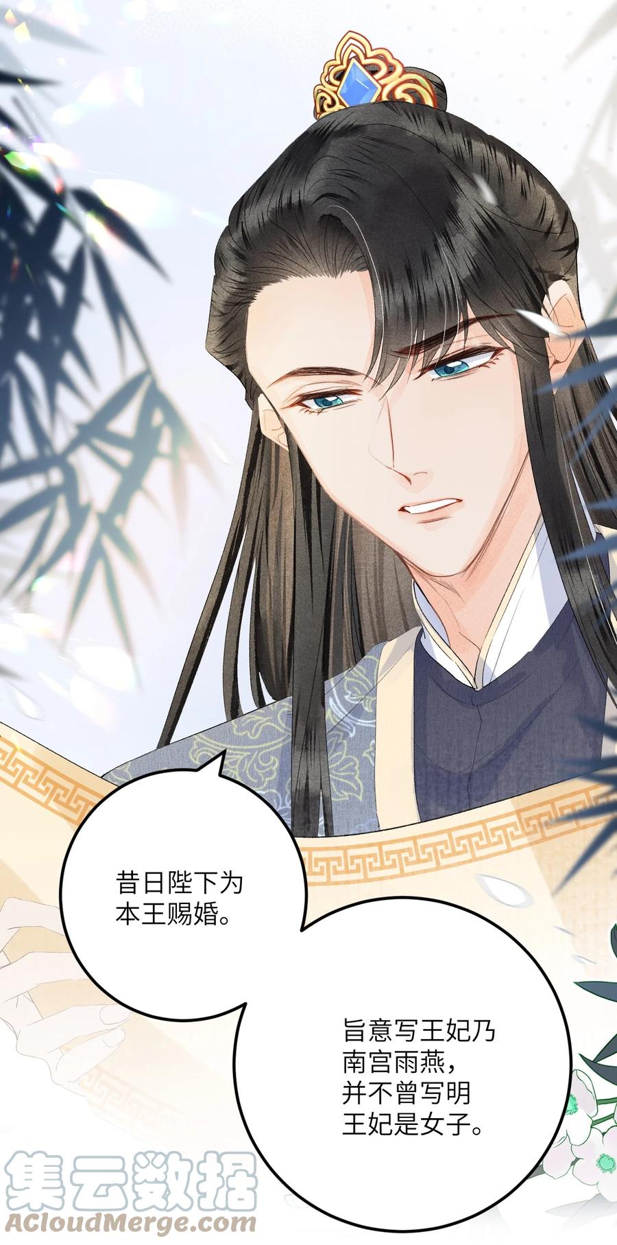 《这个王妃性别男》045 谁说他不是本王的王妃 第29页