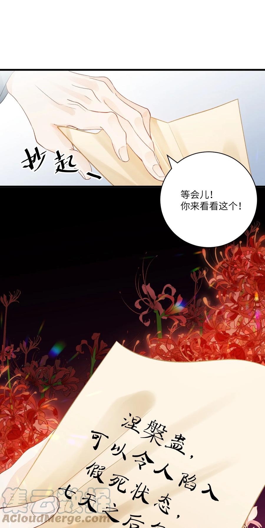 《这个王妃性别男》053 这个王妃我曾见过的 第37页