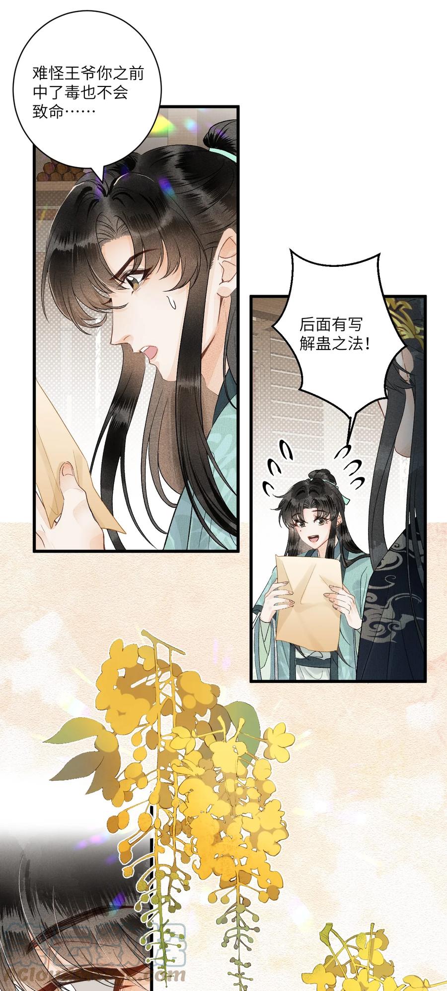 《这个王妃性别男》053 这个王妃我曾见过的 第11页
