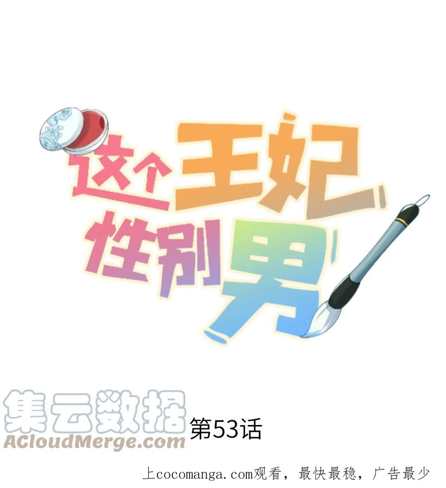 《这个王妃性别男》053 这个王妃我曾见过的 第1页