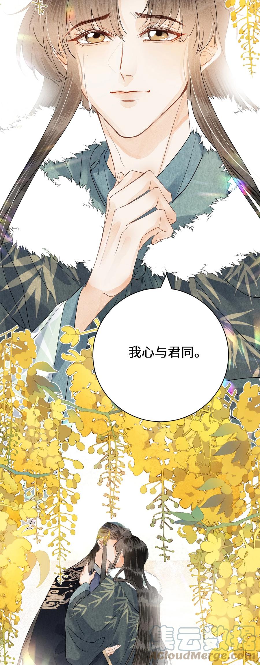 《这个王妃性别男》056 我心与君同 第33页