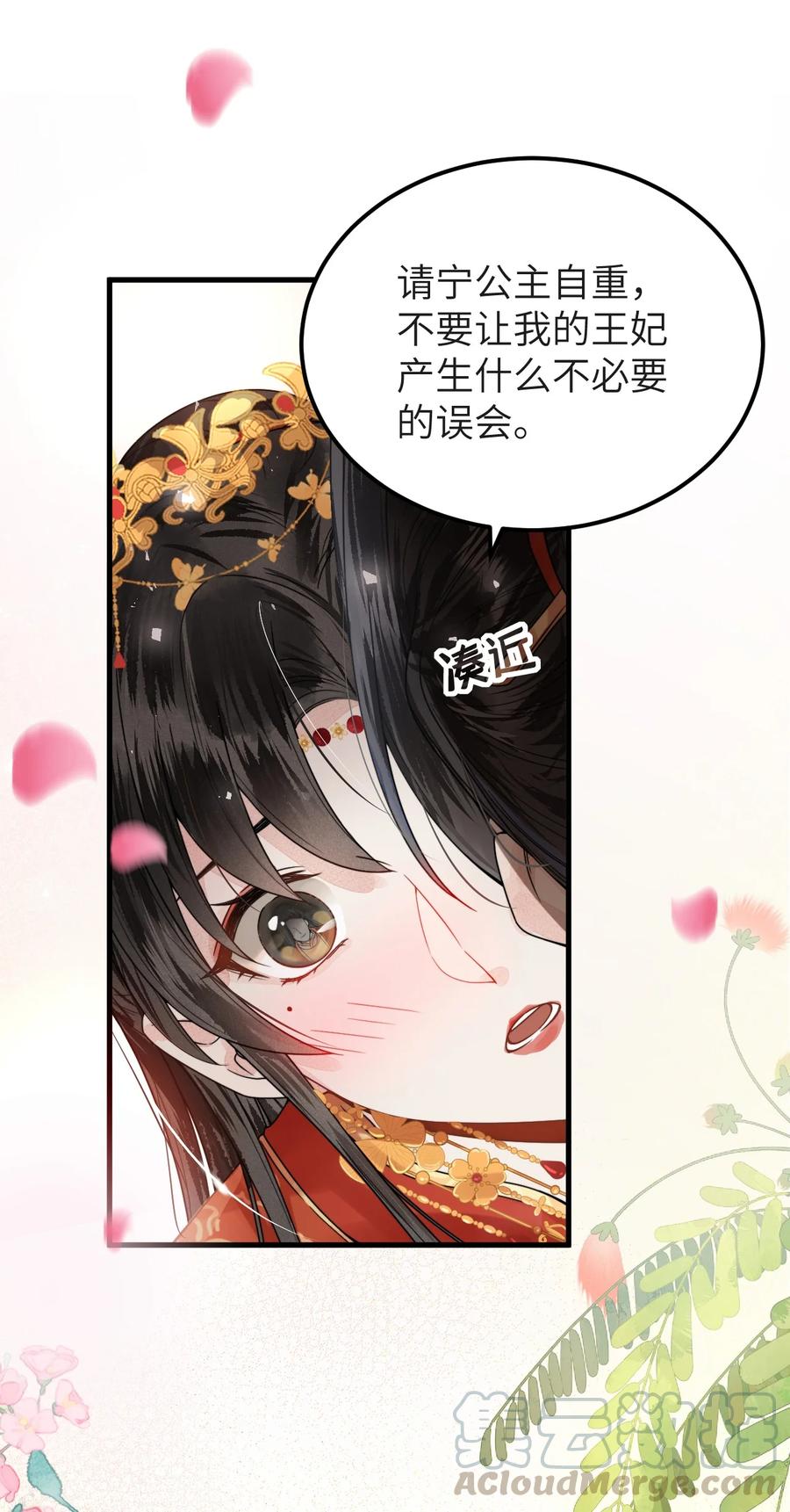 《这个王妃性别男》006 大闹婚房 第22页