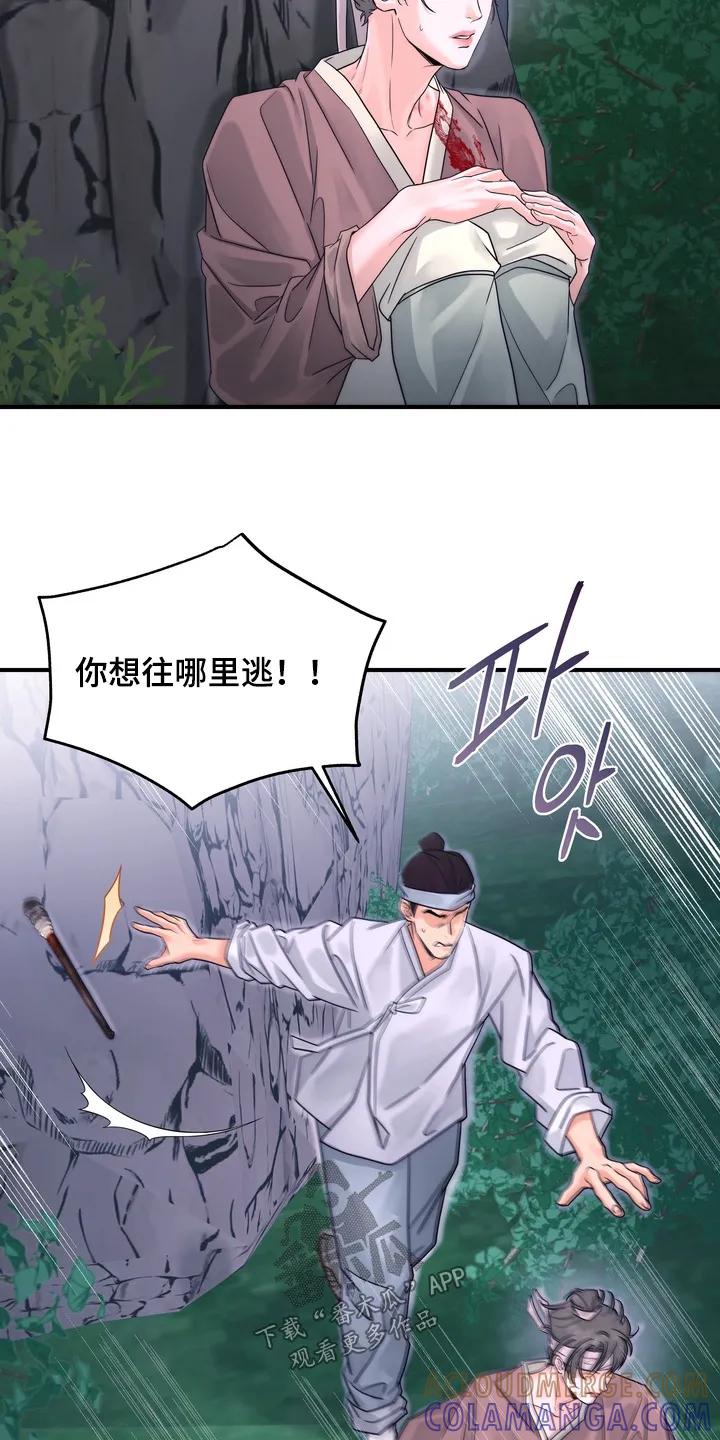 《雪落无声》第20章：逃跑 第29页