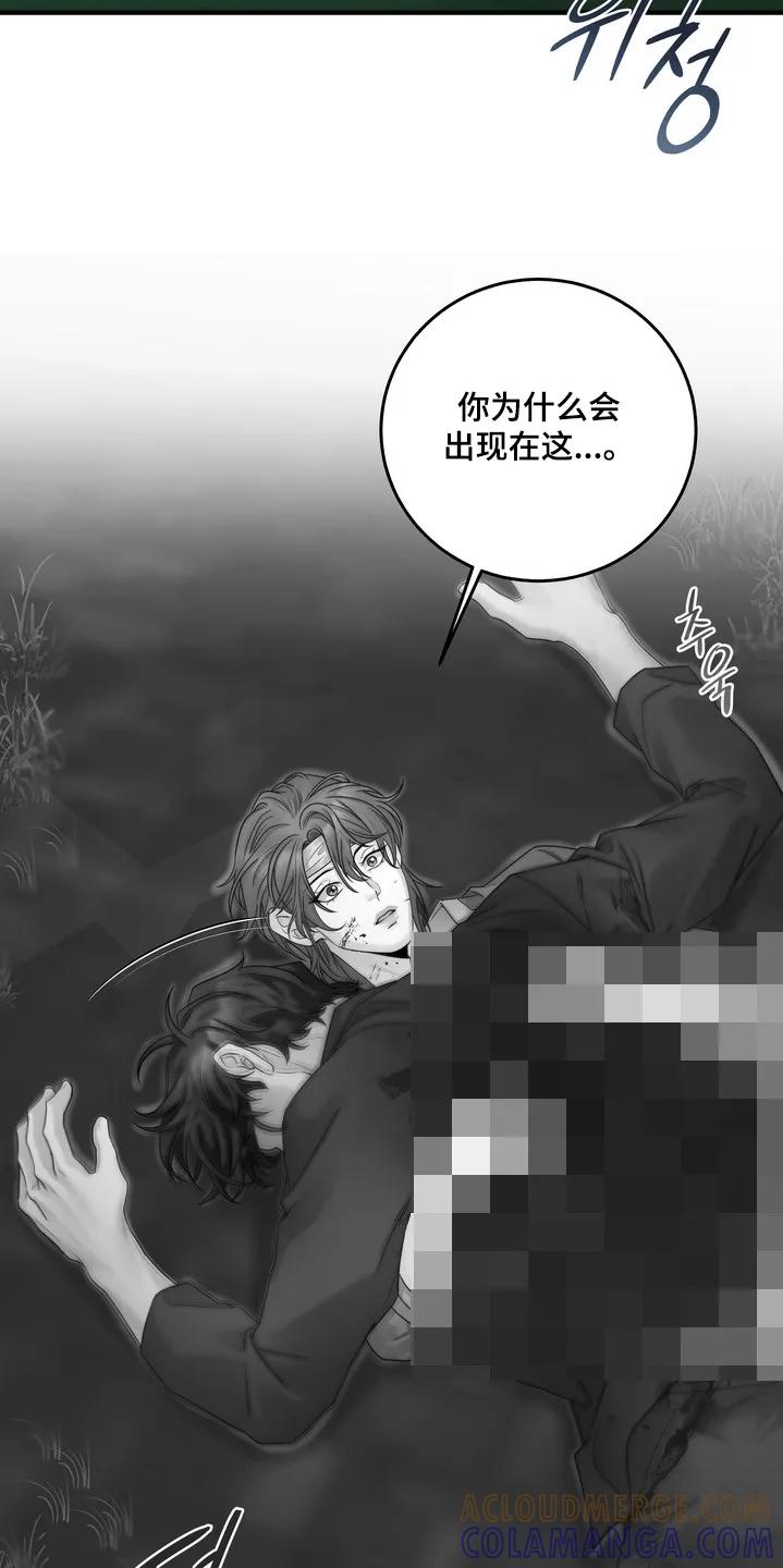 《雪落无声》第21章：一定会保护你 第29页
