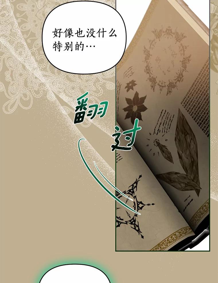 《与陛下同寝的生存法则》49.罗吉的条件 第12页