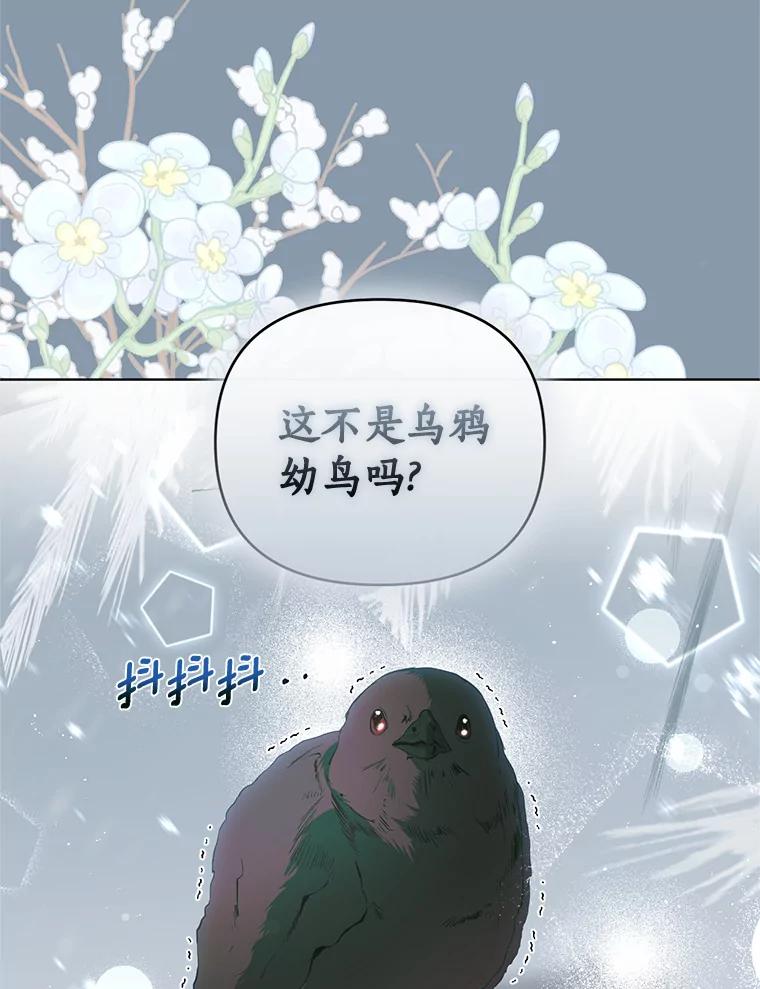 《与陛下同寝的生存法则》52.姐妹 第45页