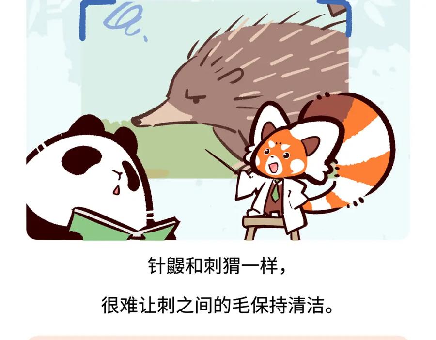 《胖达x胖达》第256话 第20页