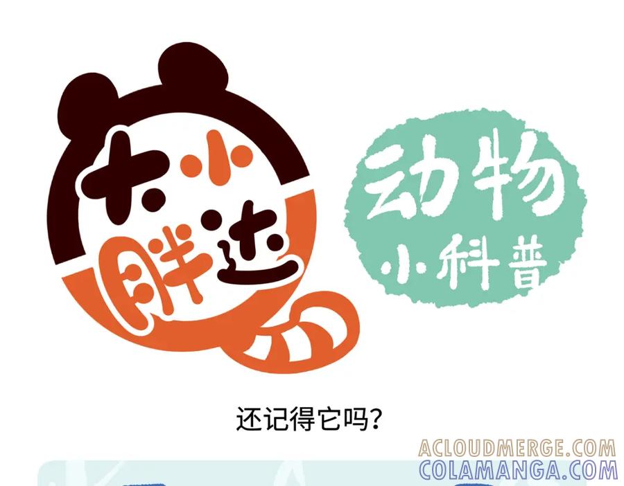 《胖达x胖达》第256话 第19页
