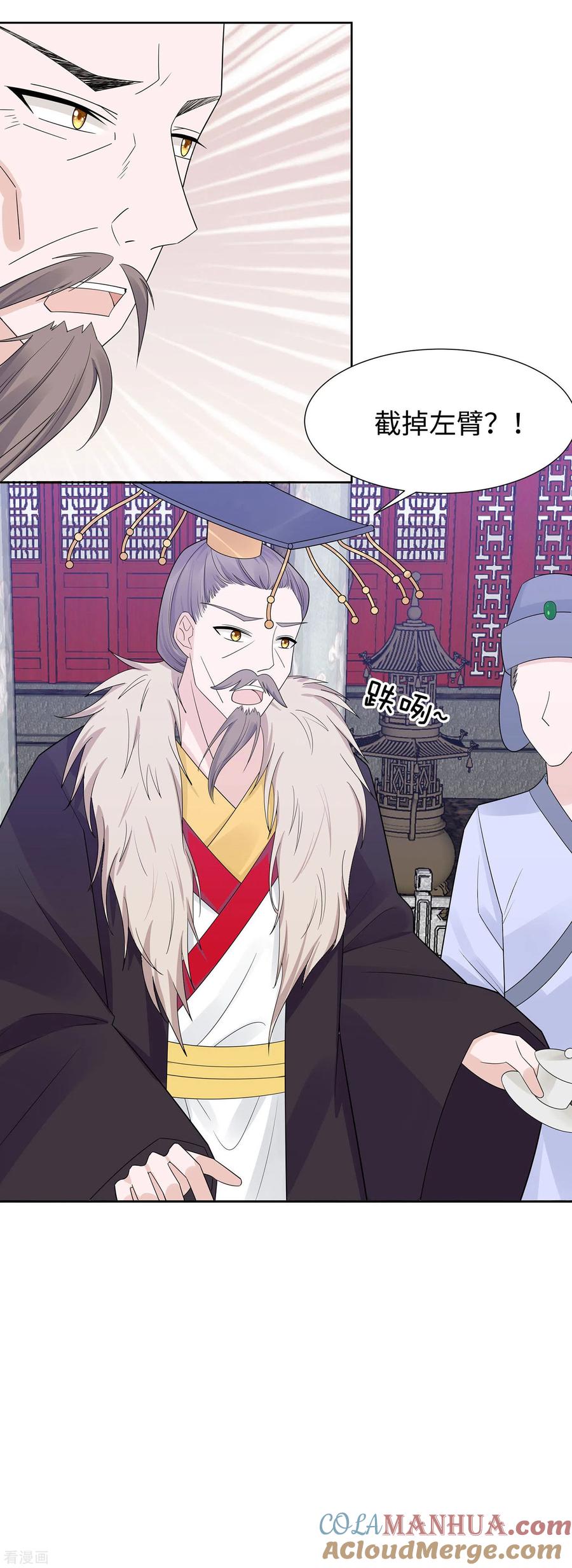 《穿越王妃，夫君别找虐》第55话 截掉左臂 第17页