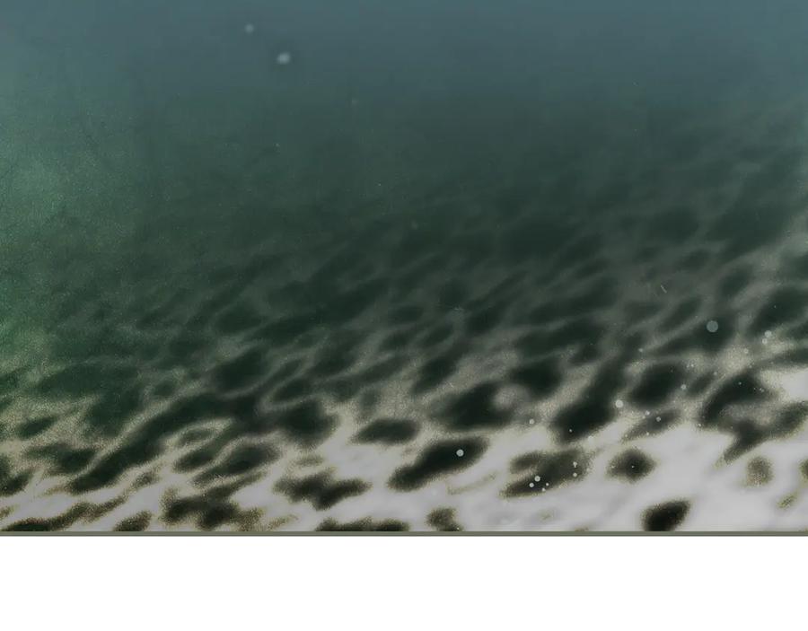 152.jpg