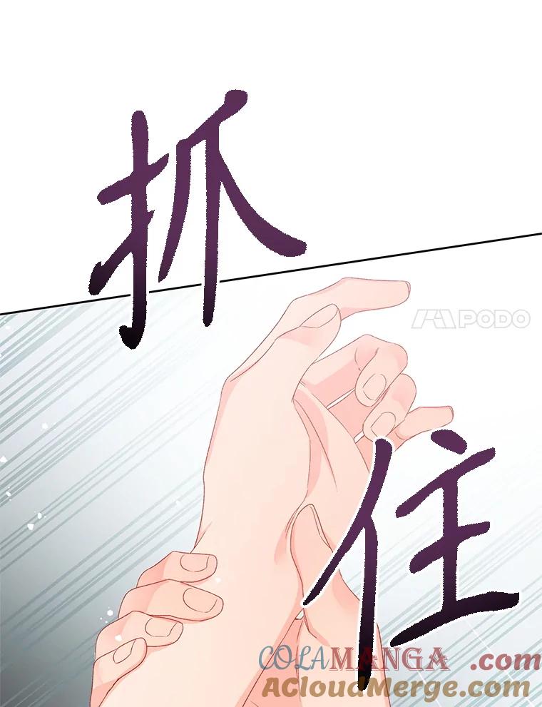 《不要相信那本日记》99.陛下召见 第133页