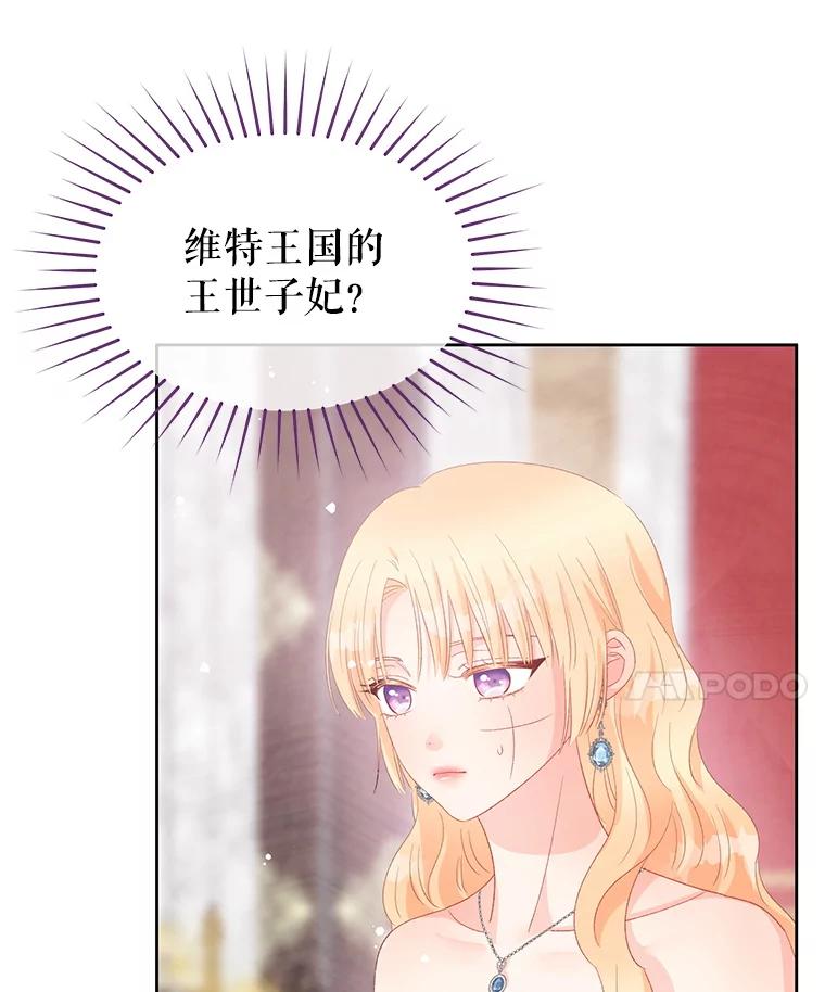 《不要相信那本日记》99.陛下召见 第91页