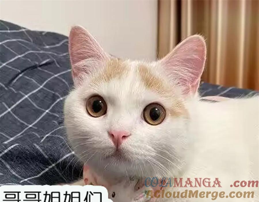 折腰 第116话 我要你跪下求我 第73页