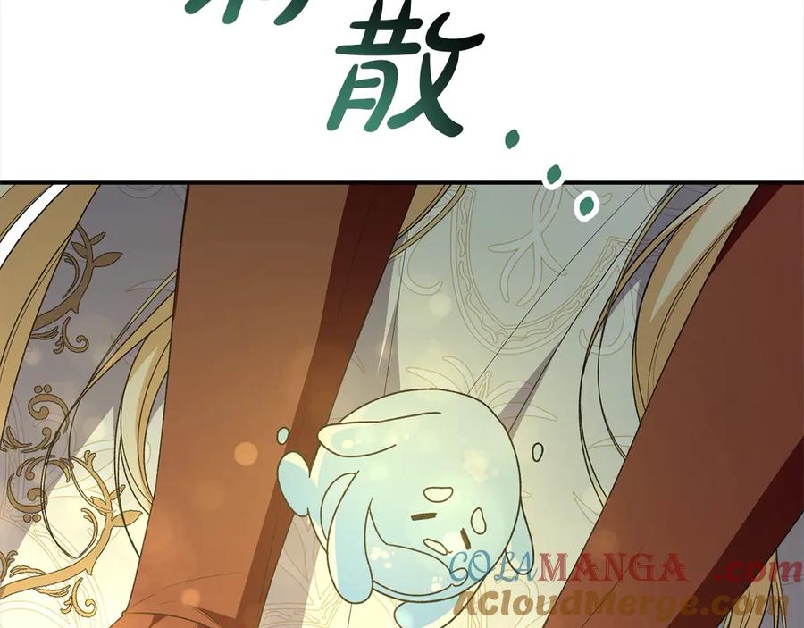 137.jpg