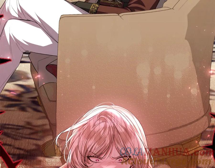 217.jpg