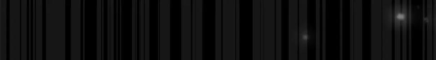 159.jpg