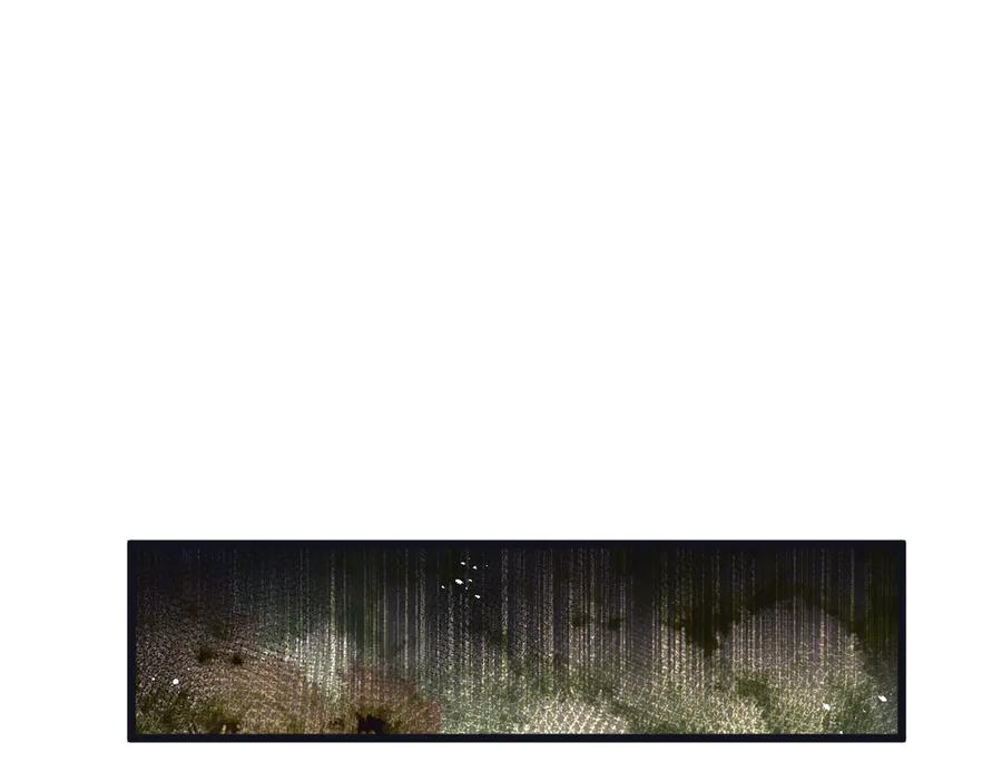 《末世超级农场》第78话 自然进化 第74页