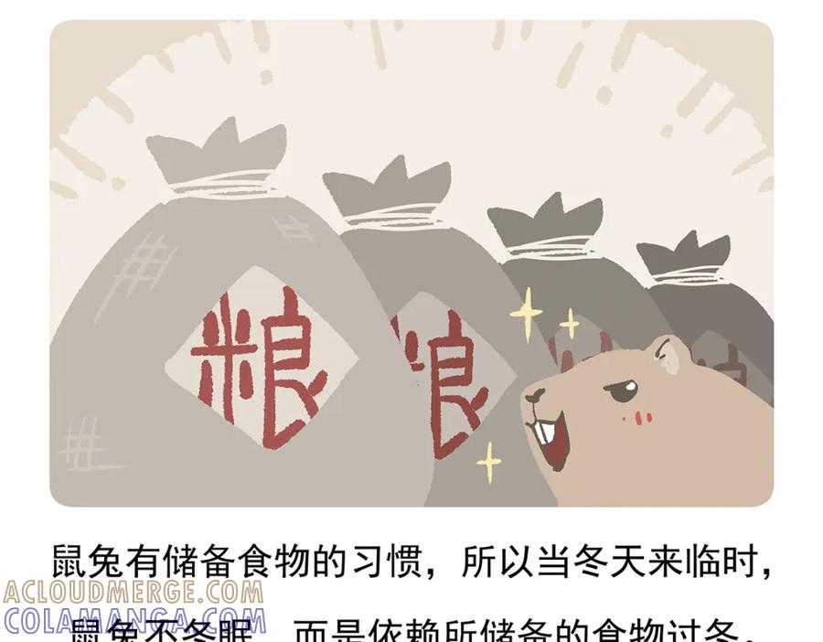 《胖达x胖达》第91话 第31页