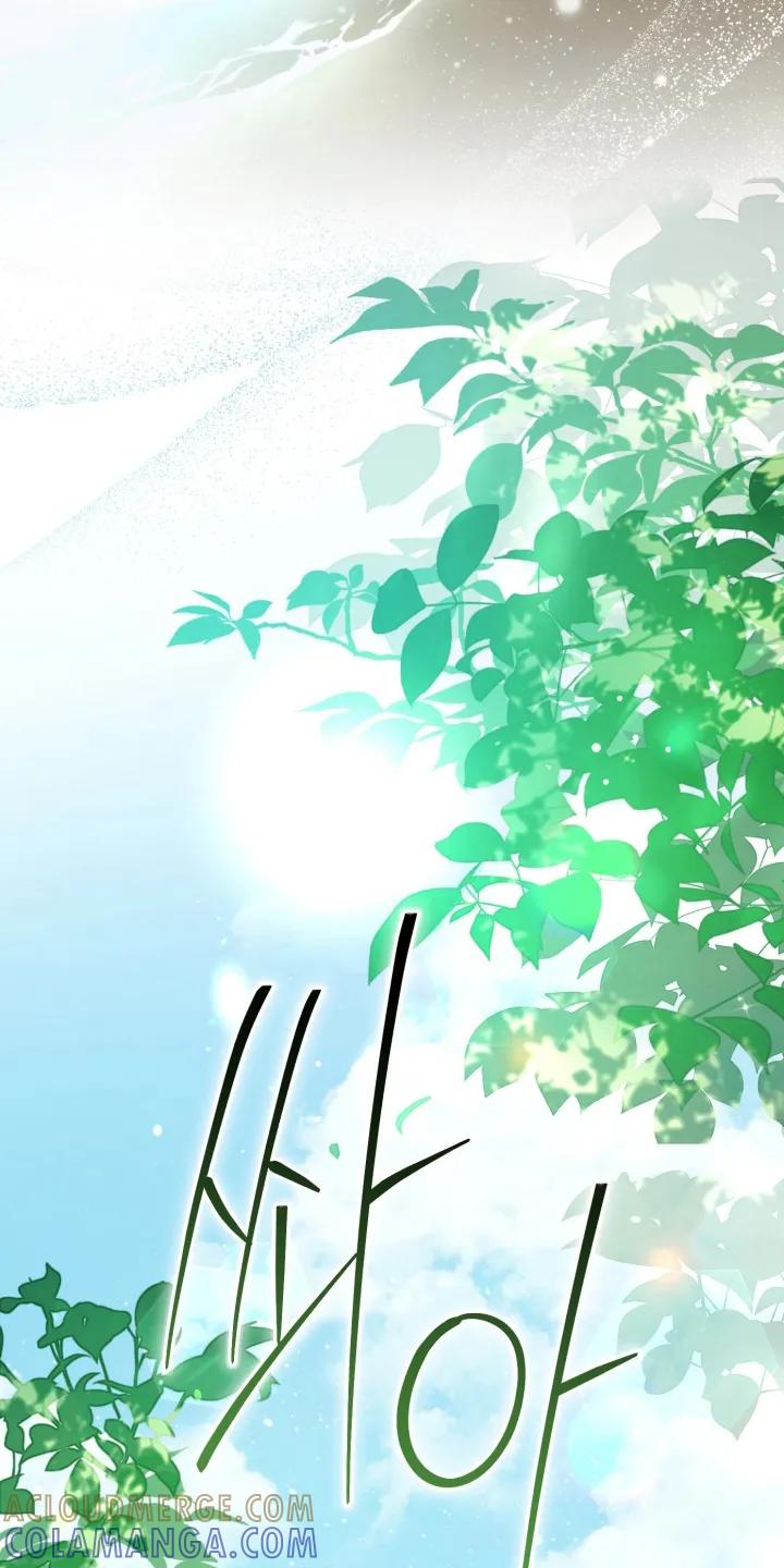 《快穿救赎》第93章：打水漂 第41页