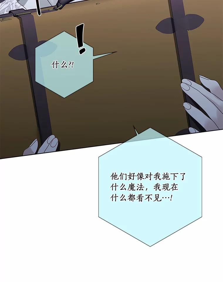 《龙套大公子妃的花路人生》42.绑架 第26页